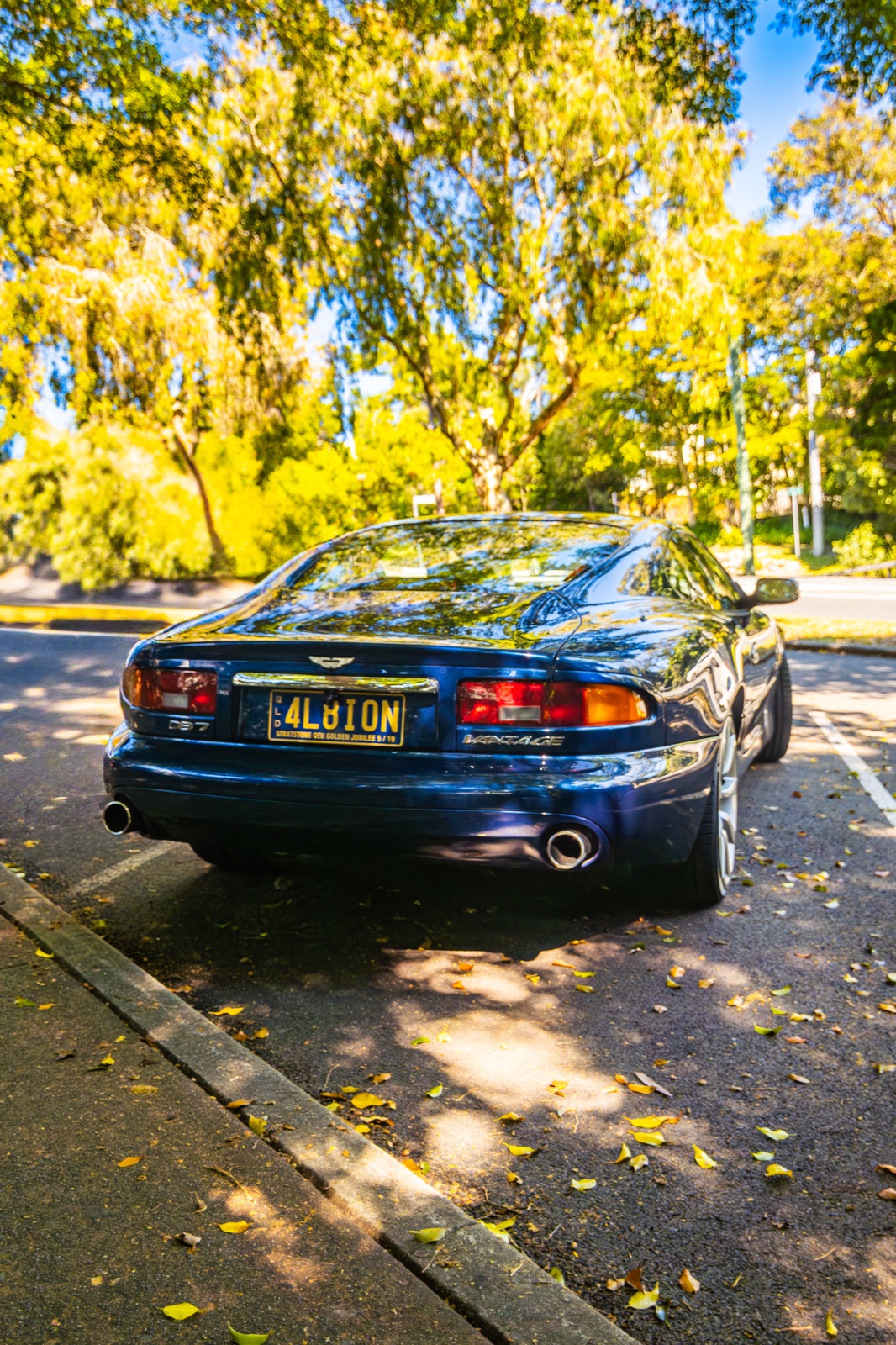 Blue Vantage Rear